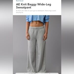 AE Knit Baggy Wide-Leg Sweatpant - S